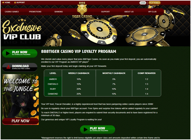 Programme VIP de 888 Tiger Casino pour les joueurs